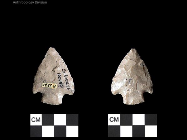 Culbreath | Late Archaic