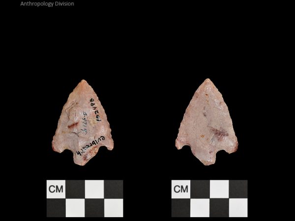 Culbreath | Late Archaic