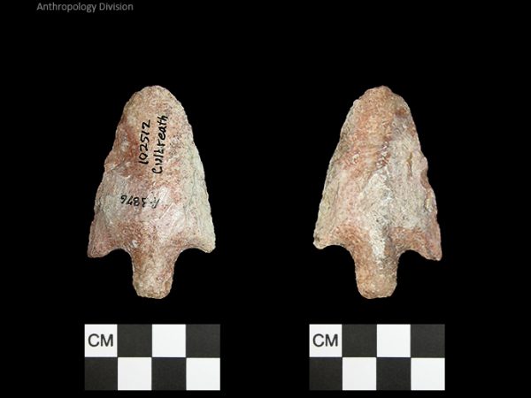 Culbreath | Late Archaic