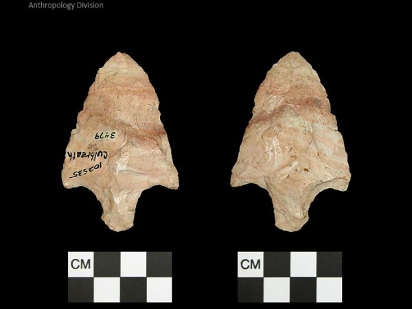 Culbreath | Late Archaic