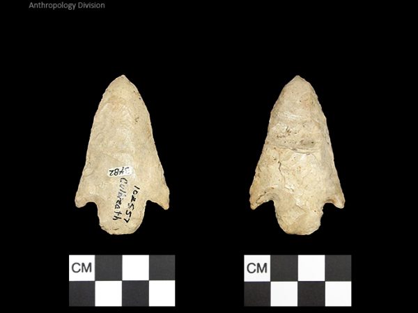 Culbreath | Late Archaic