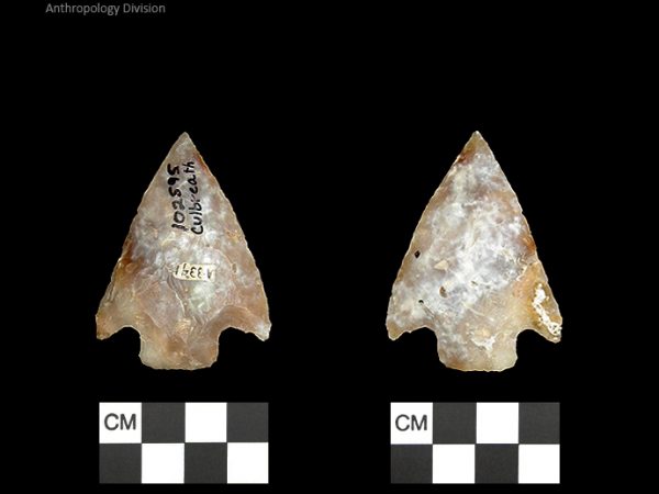 Culbreath | Late Archaic