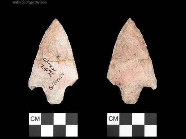 Culbreath | Late Archaic