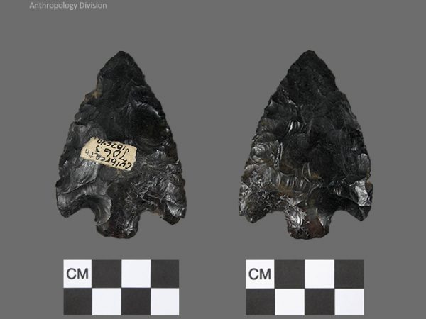 Culbreath | Late Archaic