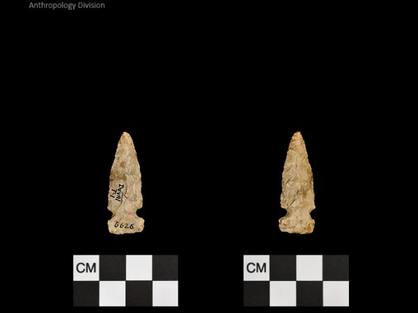 Duval Subtype 1 | Mississippian/Post-Archaic Regional