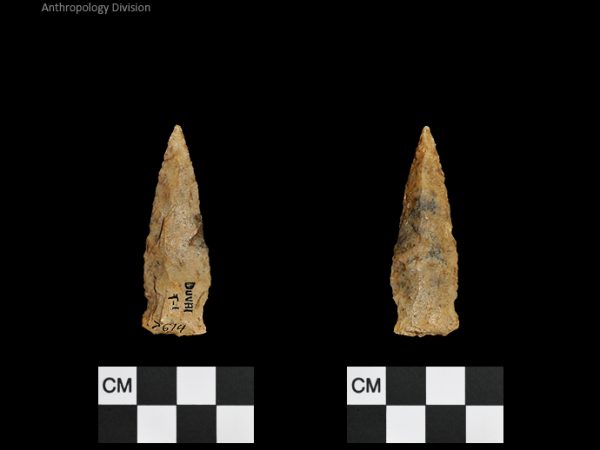 Duval Subtype 1 | Mississippian/Post-Archaic Regional