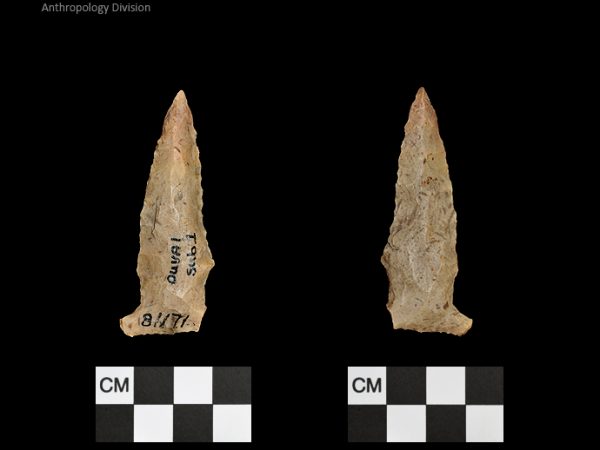 Duval Subtype 1 | Mississippian/Post-Archaic Regional