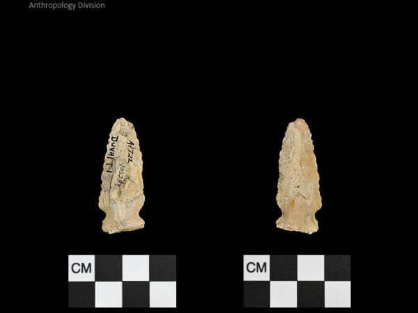 Duval Subtype 1 | Mississippian/Post-Archaic Regional