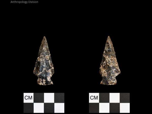 Duval Subtype 1 | Mississippian/Post-Archaic Regional