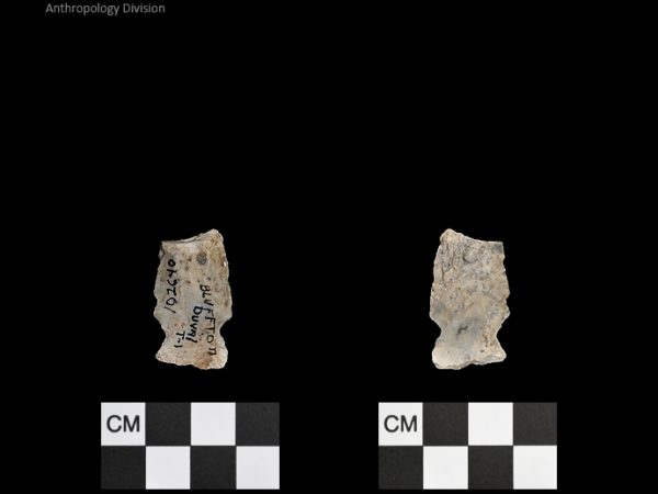 Duval Subtype 1 | Mississippian/Post-Archaic Regional