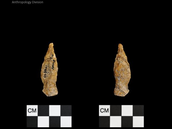 Duval Subtype 1 | Mississippian/Post-Archaic Regional