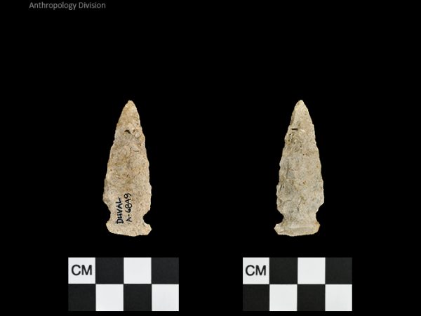 Duval Subtype 1 | Mississippian/Post-Archaic Regional