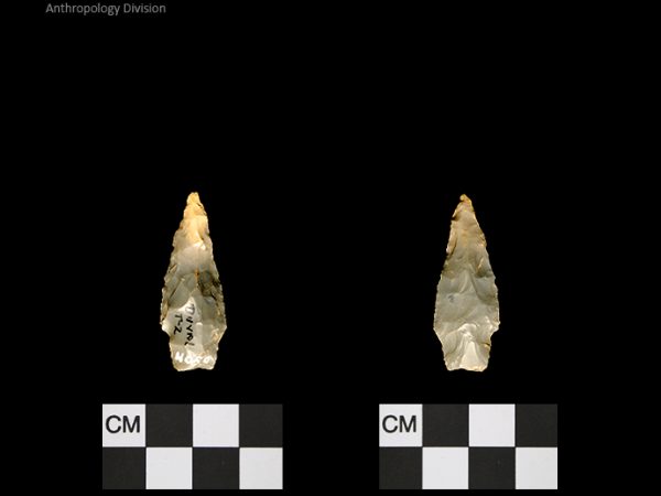Duval Subtype 2 | Mississippian/Post-Archaic Regional
