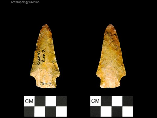 Duval Subtype 2 | Mississippian/Post-Archaic Regional