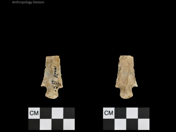 Duval Subtype 2 | Mississippian/Post-Archaic Regional