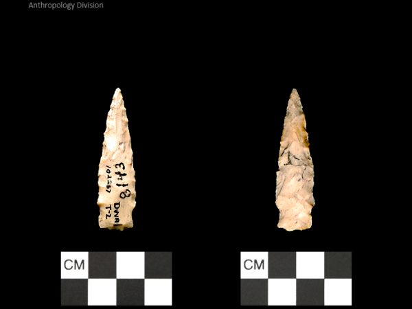 Duval Subtype 2 | Mississippian/Post-Archaic Regional