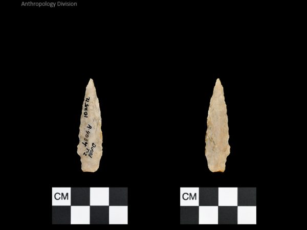 Duval Subtype 2 | Mississippian/Post-Archaic Regional