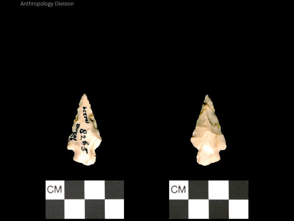 Duval Subtype 3 | Mississippian/Post-Archaic Regional