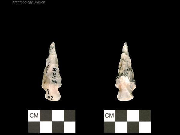 Duval Subtype 3 | Mississippian/Post-Archaic Regional
