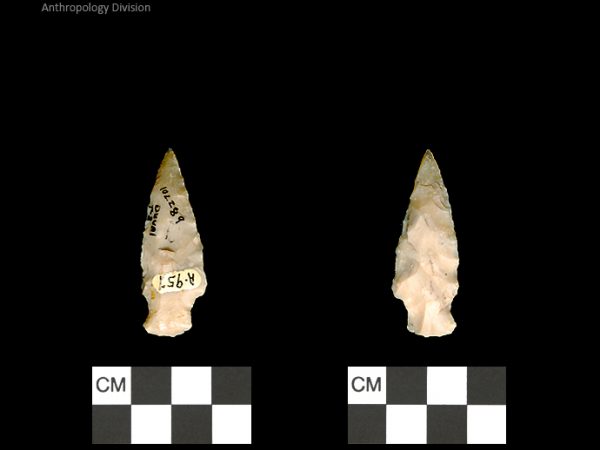 Duval Subtype 3 | Mississippian/Post-Archaic Regional