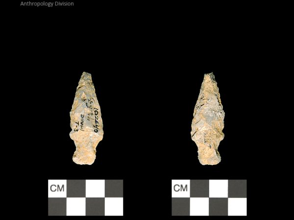 Duval Subtype 3 | Mississippian/Post-Archaic Regional