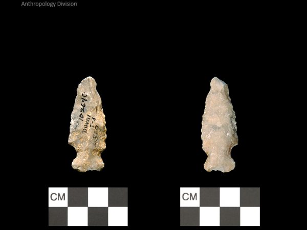 Duval Subtype 3 | Mississippian/Post-Archaic Regional