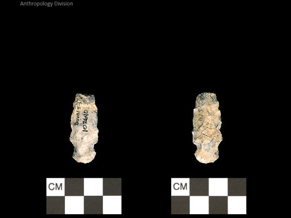 Duval Subtype 3 | Mississippian/Post-Archaic Regional