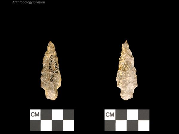 Duval Subtype 3 | Mississippian/Post-Archaic Regional