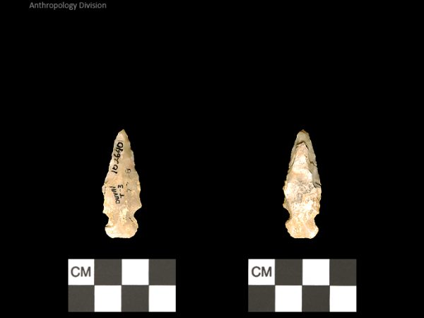 Duval Subtype 3 | Mississippian/Post-Archaic Regional