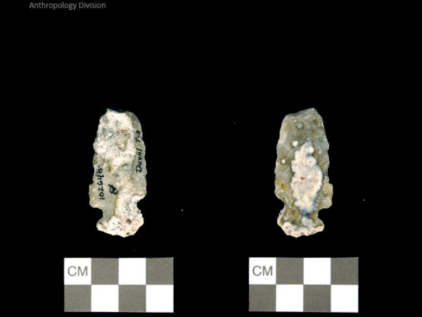 Duval Subtype 3 | Mississippian/Post-Archaic Regional
