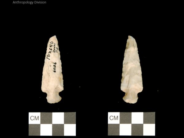 Duval Subtype 3 | Mississippian/Post-Archaic Regional