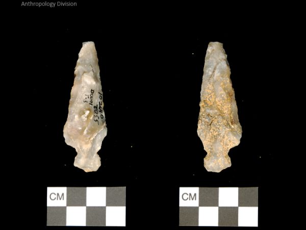 Duval Subtype 3 | Mississippian/Post-Archaic Regional