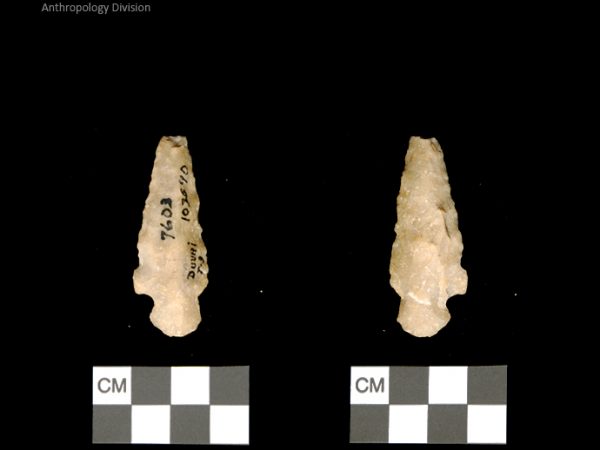 Duval Subtype 3 | Mississippian/Post-Archaic Regional