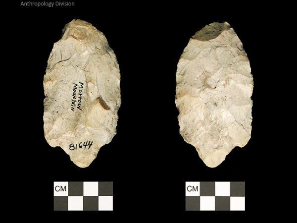 Florida Morrow Mountain | Middle Archaic