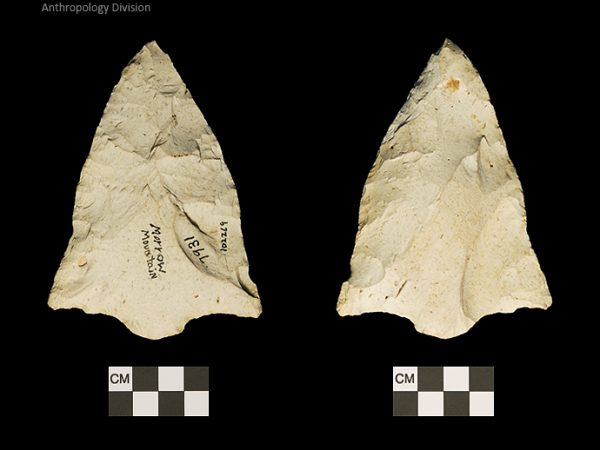 Florida Morrow Mountain | Middle Archaic