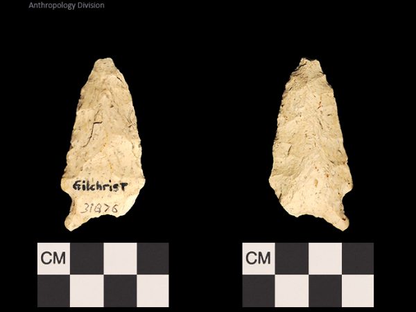 Gilchrist | Early Dalton (Bullen)/Late Paleoindian (Milanich)