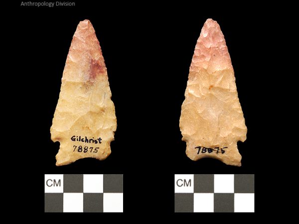 Gilchrist | Early Dalton (Bullen)/Late Paleoindian (Milanich)