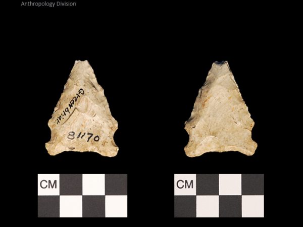 Greenbriar | Late Dalton (Bullen)/Late Paleoindian (Milanich)