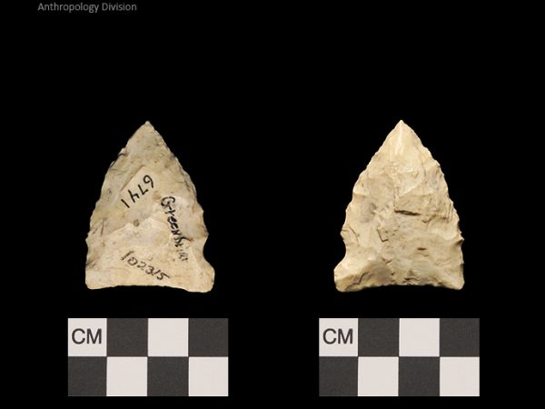 Greenbriar | Late Dalton (Bullen)/Late Paleoindian (Milanich)