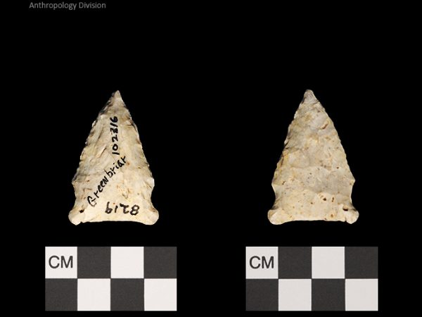 Greenbriar | Late Dalton (Bullen)/Late Paleoindian (Milanich)
