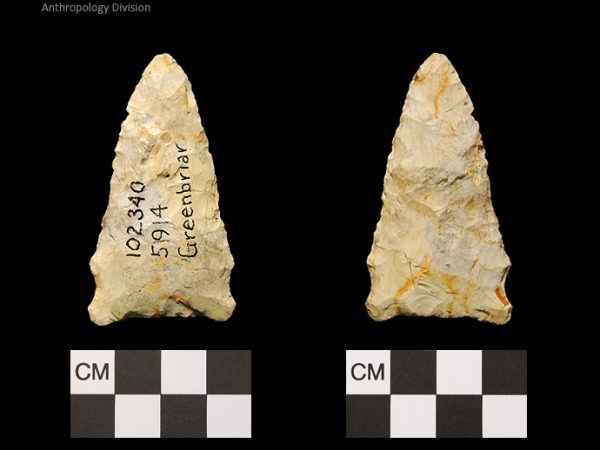 Greenbriar | Late Dalton (Bullen)/Late Paleoindian (Milanich)