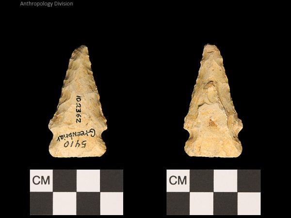 Greenbriar | Late Dalton (Bullen)/Late Paleoindian (Milanich)