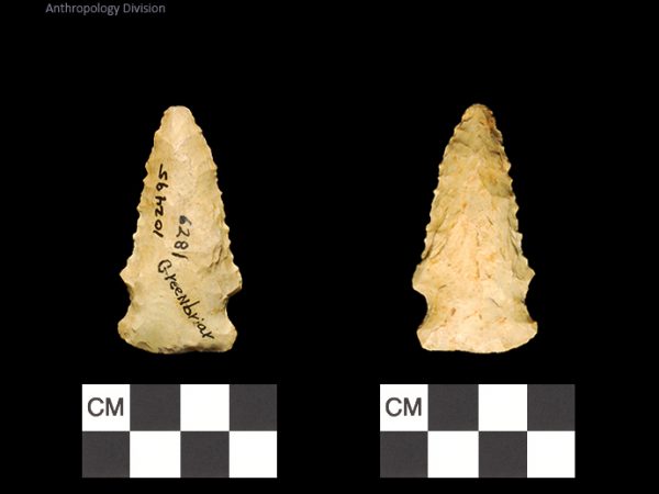 Greenbriar | Late Dalton (Bullen)/Late Paleoindian (Milanich)