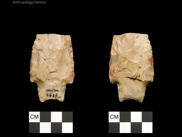 Hamilton | Early Archaic