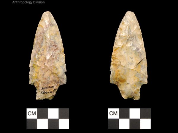 Hamilton | Early Archaic