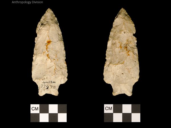 Hamilton | Early Archaic