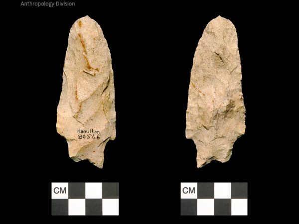 Hamilton | Early Archaic