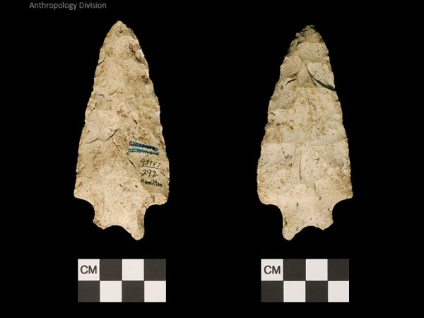 Hamilton | Early Archaic