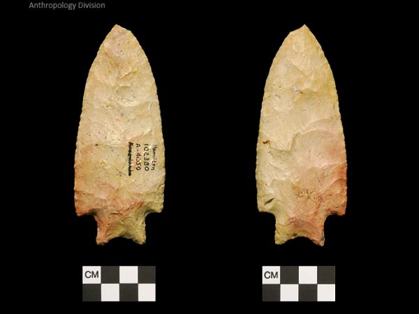 Hamilton | Early Archaic