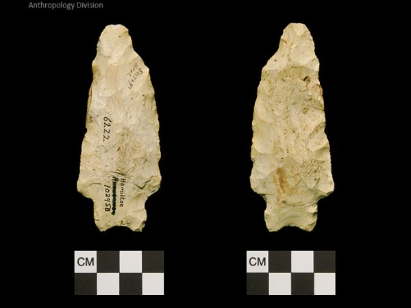 Hamilton | Early Archaic